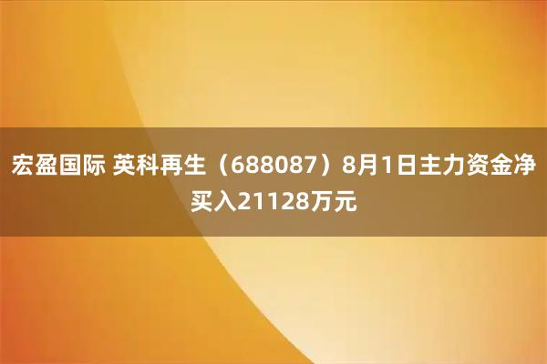 宏盈国际 英科再生（688087）8月1日主力资金净买入21128万元